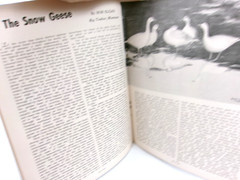 Vintage Game Bird Breeders Pheasant Fanciers Gazette Magazine May/June 1961