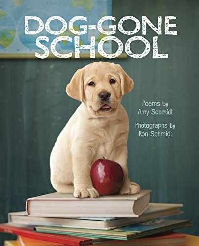 Dog-Gone School – Hardcover, by Schmidt Amy – Very Good