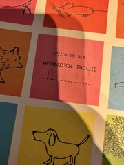 VINTAGE 6 BOOK BUNDLE LOT Mid Century 1930s-1960s Pinocchio Little Golden Wonder
