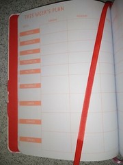 Pen+ Gear Fitness Journal – 256 pages