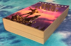 Royal Assassin / Robin Hobb (1996 Bantam Trade PB) The Farseer Trilogy #2