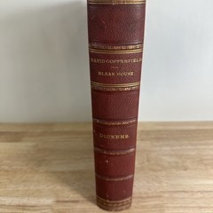 Charles Dickens Collected Works Illustrated Chapman & Hall Victorian Novels