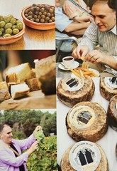 Jose Andres Cookbook Made in Spain : Spanish Dishes for the American Kitchen