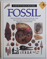 Fossil (Eyewitness Books) – Hardcover By Paul D Taylor – ACCEPTABLE