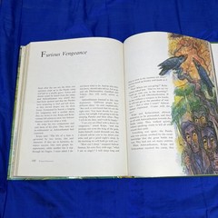 The Mahabharata Retold By Vladimir Miltner Illustrated By Jaromir Skrivanek HB