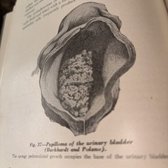 Text Book of pathology 1945, 5th Edition, Illustrated