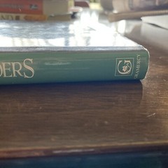 Irish Wonders by D. R. McAnally Jr. and RH Disney Staff (1996, Hardcover)