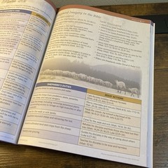 Rose Book of Bible Charts Maps and Time Lines: Full-Color Bible Charts PB