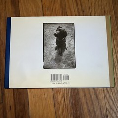 Why We Love Dogs: A Bark & Smile Book by Kim Levin, 1998