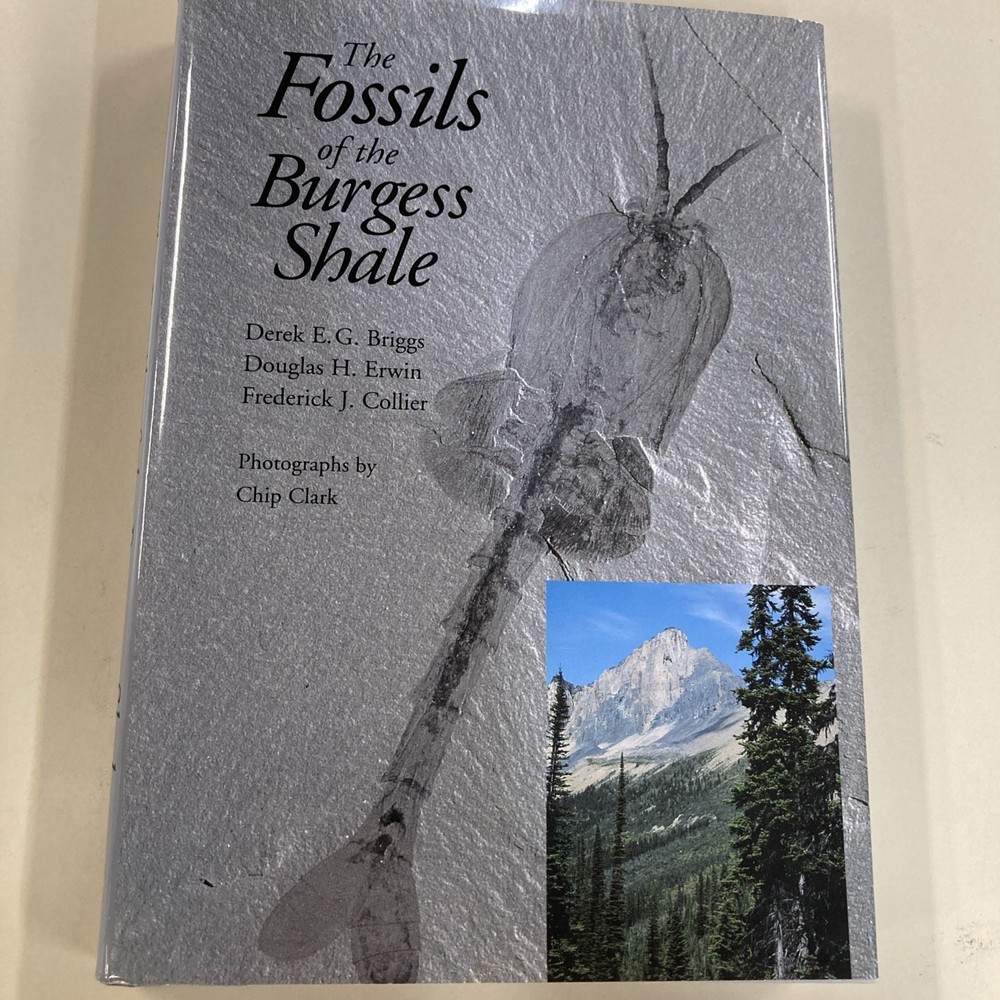 Fossils of the Burgess Shale HC DJ Collier, Erwin & Briggs 1994 Smithsonian Good