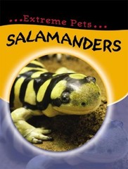 Salamanders Hardcover Clare Hibbert