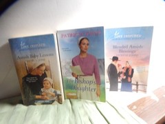 *NEW PRICE Lot of 19 Paperback Amish Romance Novels – Various Titles/Authors