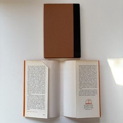 Martin Heidegger George Steiner 1979 Hardcover DJ Viking Press Modern Masters