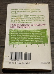 What Is Dungeons and Dragons? 1984 First Warner Books Paperback Butterfield