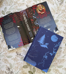 Lot 6 HC Romantasy Romance Fantasy Sprayed Edges Art Reversible DJ 3 Signed