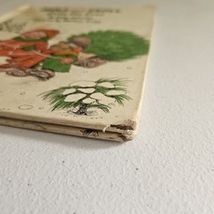 Mole And Troll Trim The Tree by Tony Johnston 1974