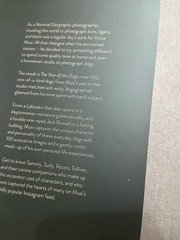 4 Dog Books