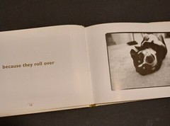 Why We Love Dogs by Kim Levin (1998, Hardcover)