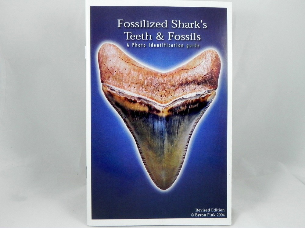 Megalodon Book Guide Shark Tooth Identification w/ Photos of Fossil Teeth tooth