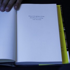The Scream’s Shadowy Heist Expertly Detailed True Crime Hardcover Art History