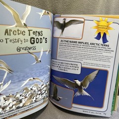 Wonders of God’s Creation By Eric Lyons Homeschool Science Supplement Book