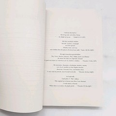 Forever Seventeen Proud to Be a Jay by Don McMurry 2006 Paperback Book