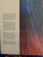 First Edition: COLOR The Essence of You Suzanne Caygill