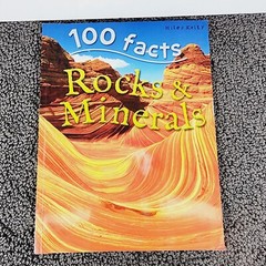 100 Facts Large Picture Book Lot 4 Miles Kelly Ages 7-11 Grades 1-5 Homeschool