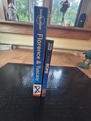 Lonely Planet Travel Guide Lot ROME + FLORENCE & TUSCANY Like New! Great Price!
