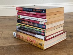 BOYS Chapter Books Lot of 11 ~ 8-12 Years Old – Classroom Library Homeschool