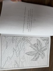 COLORFUL ESCAPES – The Colors of Summer! Vol. 25 – Adult Coloring Book- 31 Pages