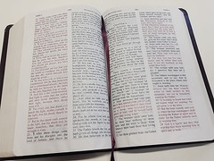 The Jack Van Impe PROPHECY BIBLE ~ Red Letter ~ Limited Special Edition KJV