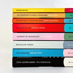 The Unhappiness of Being a Single Man: Essential Stories (Pushkin Press Classics