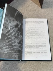 Vicious Prince By Rina Kent Baddies Book Box Special Edition Royal Elite Series