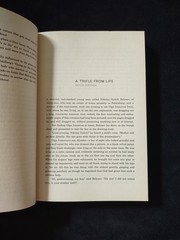 Gotham Writers Workshop Fiction Gallery Exceptional Short Stories Softcover Book