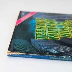Teenage Mutant Ninja Turtles TMNT – BB Hiller 1990 Vintage Movie Tie-in PB