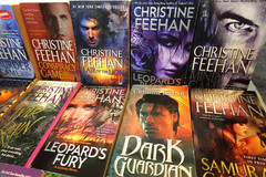 Christine Feehan (Paranormal Romance) paperback book lot (17 books)