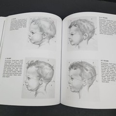 Drawing the Human Head by Burne Hogarth proportions types aging feature movement