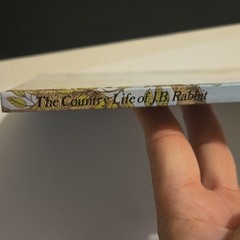 RARE The Country Life of J.B. Rabbit Doris Susan Smith Hardcover 1983 Children