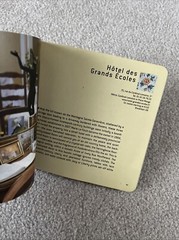 Boutique and Chic Hotels in Paris by Lionel Pailles (2008, Uk-Trade Paper)