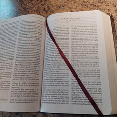 Jack Van Impe Prophecy Bible Limited Special Ed Burgundy pre owned