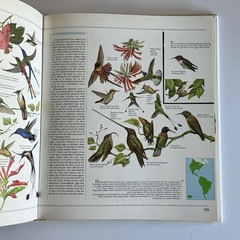 The Great Book Of Birds – 280 pages, 1,000 full color illustrations Ornithology