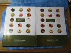 LOT OF 3 PSALMS Leader Guide + QuickSource EXPLORE THE BIBLE SC Summer 2025 XLNT