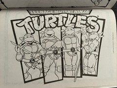 Teenage Mutant Ninja Turtles Coloring And Activity Book TMNT Heroes Nickelodeon