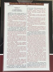 BIBLIA DE ESTUDIO DEL EXPOSITOR DE JIMMY SWAGGART COLOR VINO