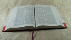 The Everyday Life Bible Power of God’s Word for Everyday Joyce Meyer with defect