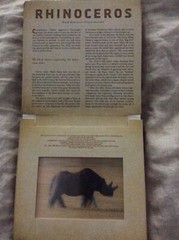 Photicular Ser.: Safari : A Photicular Book by Carol Kaufmann and Dan Kainen…