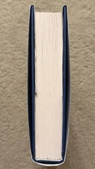 THREE SISTERS BY HEATHER MORRIS 2021 ST. MARTIN’S TRUE FIRST EDITION HCDJ