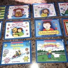 Very Beginning Reading 15 PB Books LITTLE LEVELED READERS – Level C