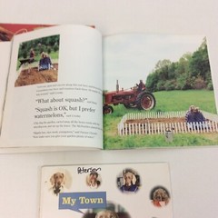 William Wegman Cinderella Farm Days My Town 3 Picture Story Book Lot